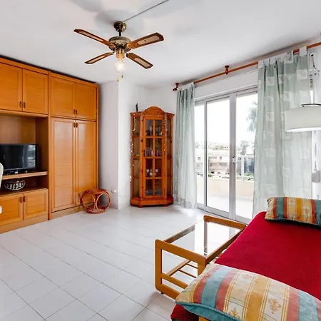 093 - Mil Palmeras Dream