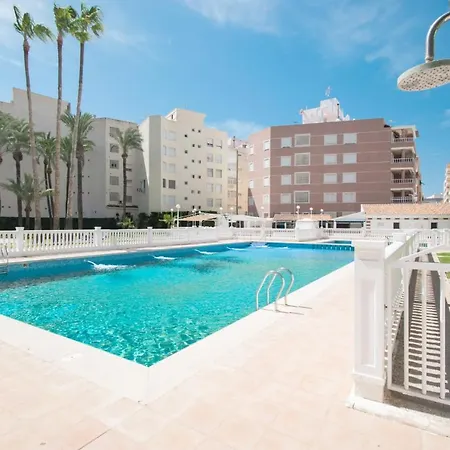 093 - Mil Palmeras Dream