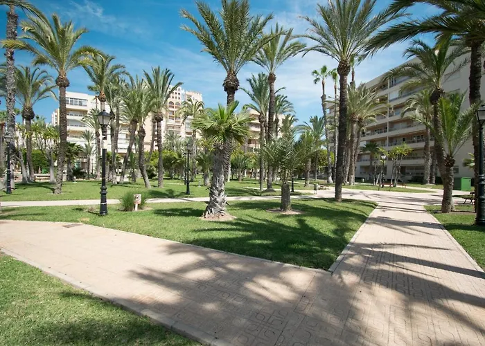 Apartment 093 - Mil Palmeras Dream *