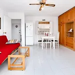 093 - Mil Palmeras Dream